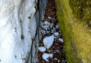 Sicilia, ancora neve in piena estate sulle Madonie: il video