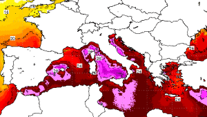 Caldo, il mar Tirreno bolle! Temperatura acqua vicina ai 30 gradi, ecco le possibili conseguenze