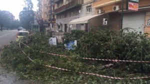 Maltempo in Sicilia: allagamenti, forte vento e disagi a Palermo e Catania