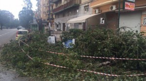 Burrasca sul Tirreno: disagi al porticciolo di Cefalù, diverse barche affondate