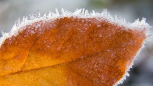 Notte gelida in Sicilia, raggiunti -5.5 gradi a Piazza Armerina