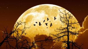 Lunedì sera apparirà la Superluna anche in Sicilia. Ecco dove si potrà vedere con più facilità