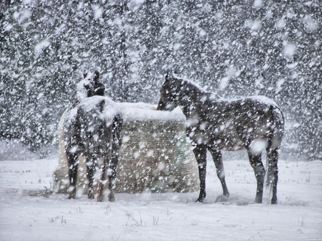 Sicilia, raggiunti quasi 27 gradi oggi. Atteso un brusco crollo termico.