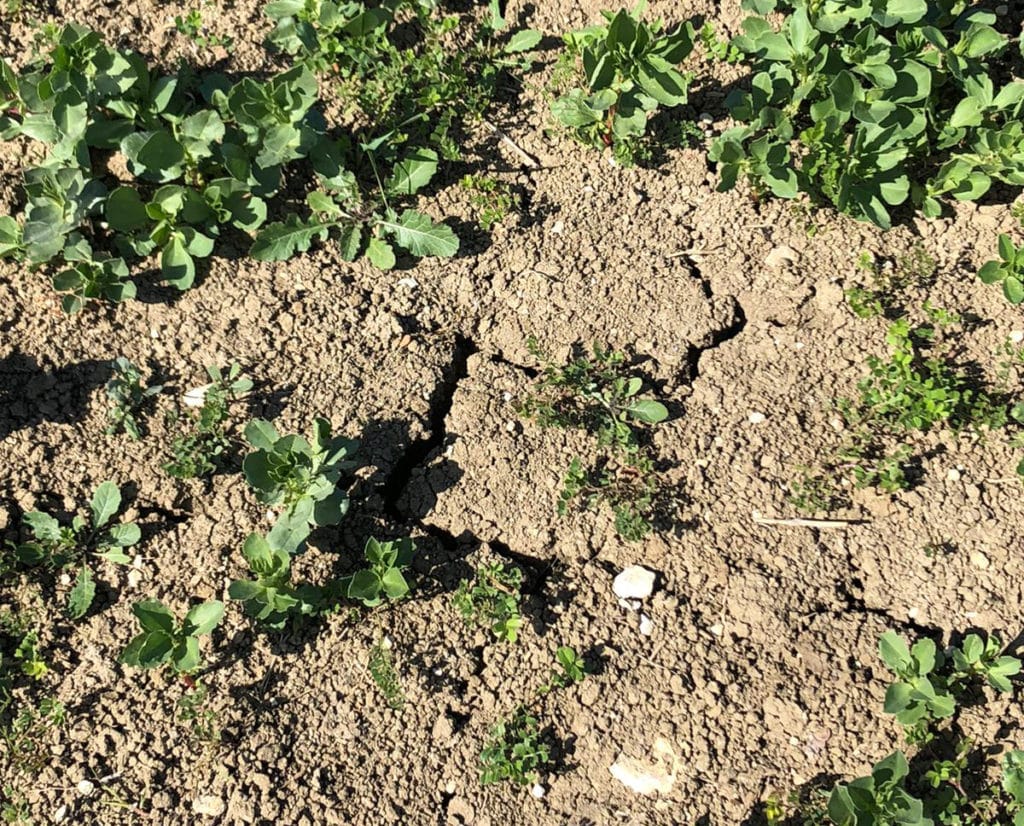 Sicilia: raggiunti 25 gradi a Noto. Lieve calo termico giovedì.