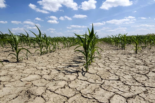 Sicilia, gennaio senza pioggia su diverse zone: è RECORD ASSOLUTO!