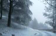 Sicilia: neve su monte Cammarata - 18 gennaio 2021