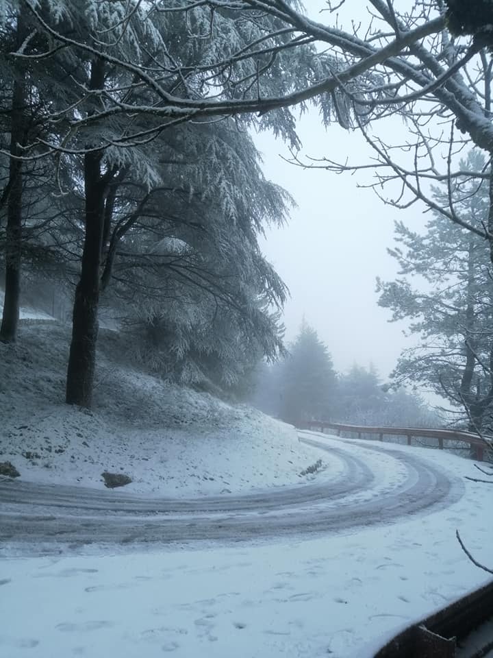 Sicilia: neve su monte Cammarata - 18 gennaio 2021