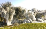 Sicilia, gelate in arrivo: martedì attese diffuse minime sotto zero.