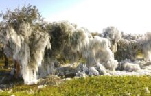 Sicilia, gelate in arrivo: martedì attese diffuse minime sotto zero.