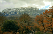 Sicilia - Rocca Busambra il 18 gennaio 2021