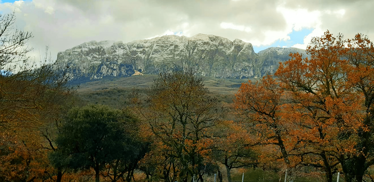 Sicilia - Rocca Busambra il 18 gennaio 2021