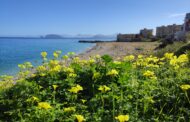 Sicilia, in pieno inverno zero termico a 3.800 m. Raggiunti 25 gradi nel palermitano. Ecco quanto durerà.