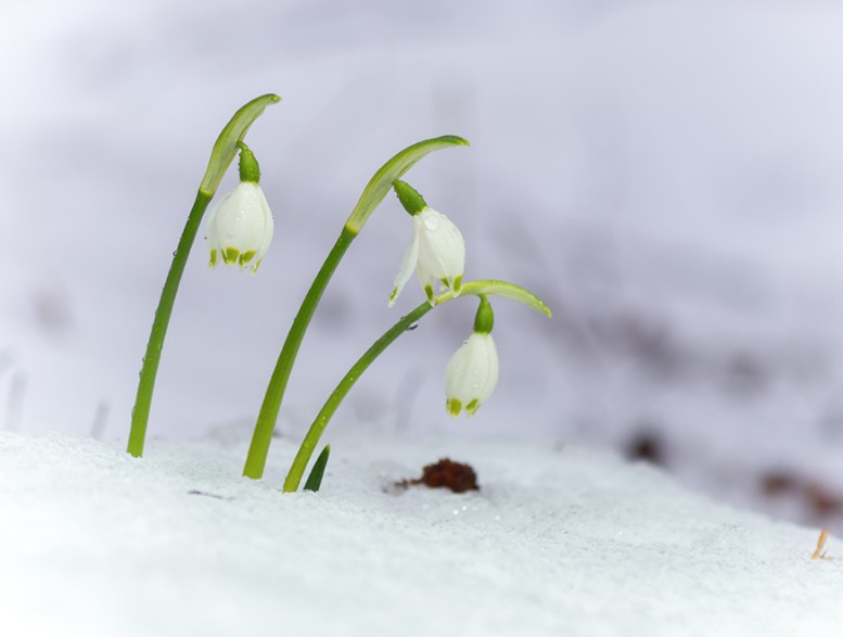 Sicilia: freddo e neve in Appennino lunedì.