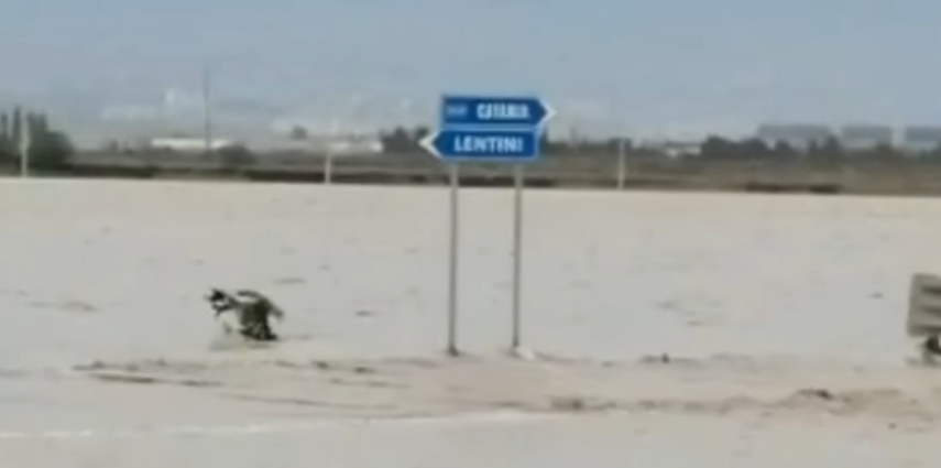 Maltempo in Sicilia: esonda il fiume Simeto (VIDEO)