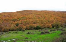 Autunno in Sicilia: il foliage dell'Appennino siculo, Monti Nebrodi. Boom di escursionisti.