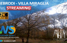 Sicilia: sui Nebrodi arriva webcam live streaming a quota 1500 metri tramite WS Cam e Villa Miraglia.
