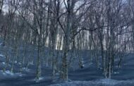 Etna: la cenere vulcanica si deposita sul manto nevoso dei Nebrodi. Risparmiate le Madonie.