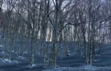 Etna: la cenere vulcanica si deposita sul manto nevoso dei Nebrodi. Risparmiate le Madonie.