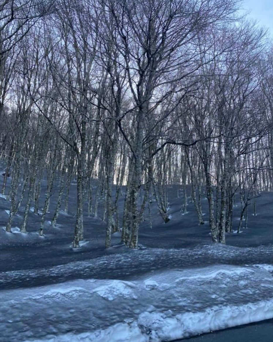 Etna: la cenere vulcanica si deposita sul manto nevoso dei Nebrodi. Risparmiate le Madonie.