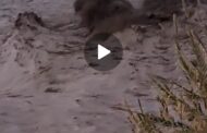 Alluvione nel messinese: torrente Patrì in piena a San Biagio!