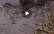 Alluvione nel messinese: torrente Patrì in piena a San Biagio!