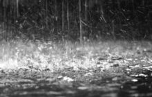 Meteo Petrosino: domani mercoledì 23 Agosto lieve pioggia.