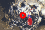 Meteo Trapani: oggi mercoledì 6 Settembre prevalentemente poco nuvoloso.