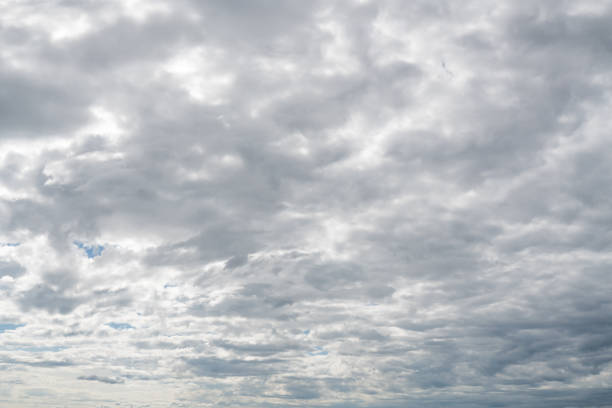 Meteo Palermo: domani domenica 31 Dicembre prevalentemente molto nuvoloso.